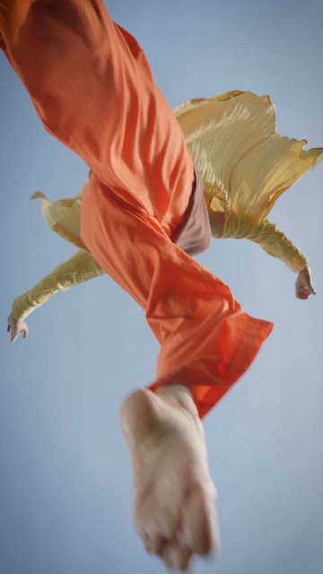 Wilma Vesseur - Tanzbild